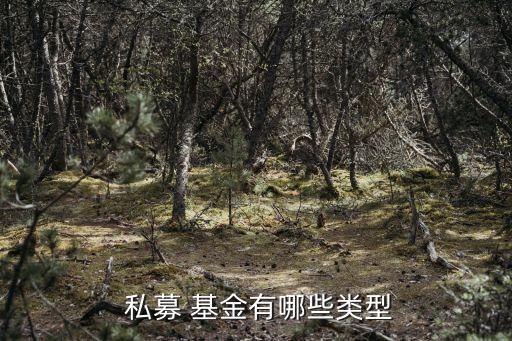  私募 基金有哪些類(lèi)型