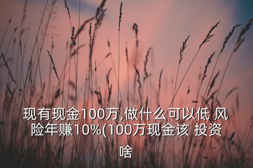 現(xiàn)有現(xiàn)金100萬(wàn),做什么可以低 風(fēng)險(xiǎn)年賺10%(100萬(wàn)現(xiàn)金該 投資啥