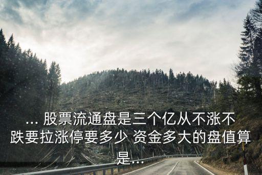... 股票流通盤是三個(gè)億從不漲不跌要拉漲停要多少 資金多大的盤值算是...
