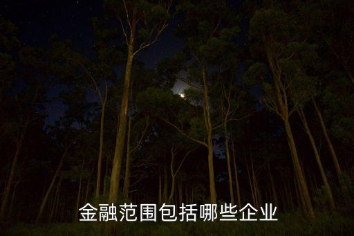 金融控股公司經(jīng)營(yíng)范圍,控股公司營(yíng)業(yè)執(zhí)照經(jīng)營(yíng)范圍