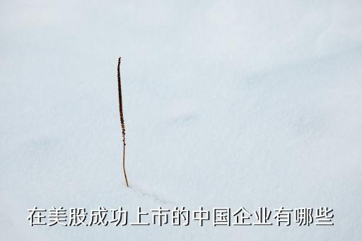 在美股成功上市的中國(guó)企業(yè)有哪些