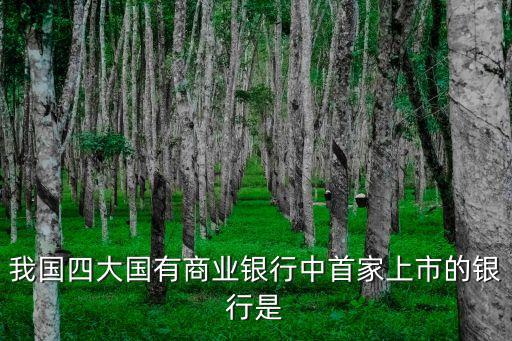 我國(guó)四大國(guó)有商業(yè)銀行中首家上市的銀行是