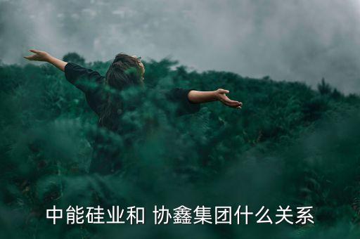 中能硅業(yè)和 協(xié)鑫集團什么關系
