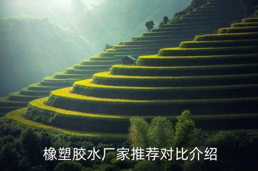 杭州高新橡塑材料股份有限公司