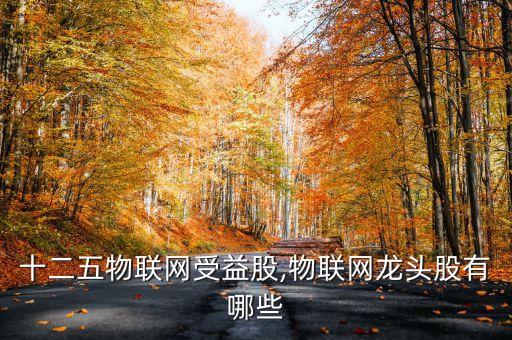 十二五物聯(lián)網(wǎng)受益股,物聯(lián)網(wǎng)龍頭股有哪些