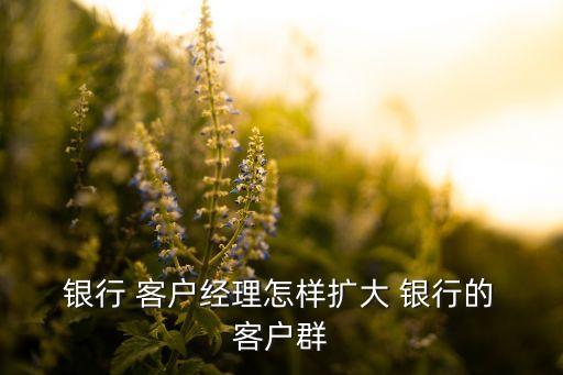  銀行 客戶經(jīng)理怎樣擴(kuò)大 銀行的 客戶群