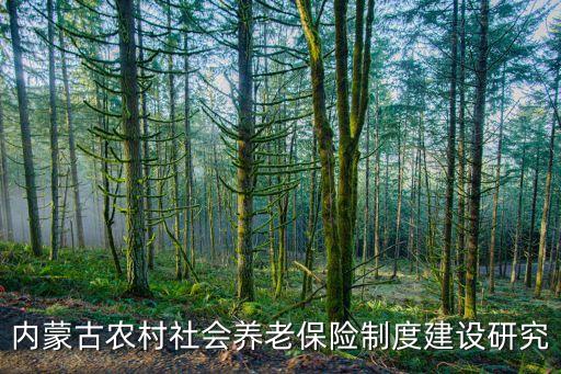 新農(nóng)?；鹜顿Y,農(nóng)保有沒有統(tǒng)籌基金