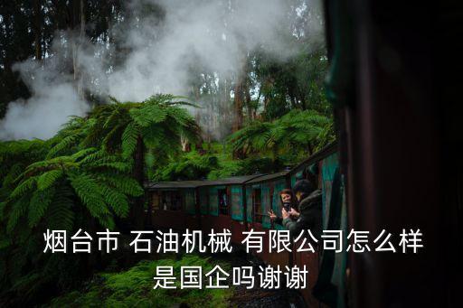  煙臺市 石油機械 有限公司怎么樣是國企嗎謝謝