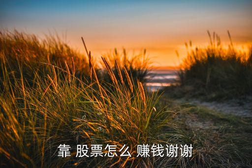 靠 股票怎么 賺錢謝謝