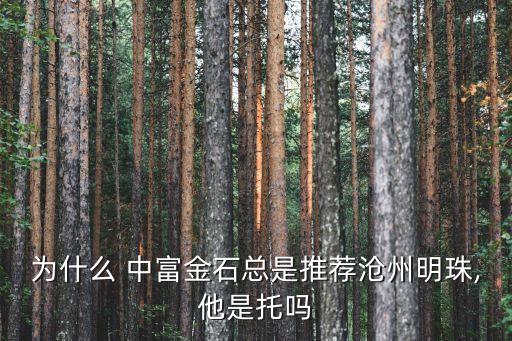為什么 中富金石總是推薦滄州明珠,他是托嗎