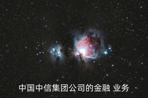 中國中信集團公司的金融 業(yè)務(wù)