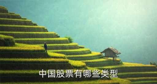 中國(guó)股票有哪些類型