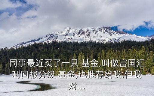 同事最近買了一只 基金,叫做富國匯利回報(bào)分級(jí) 基金,也推薦給我,但我對(duì)...
