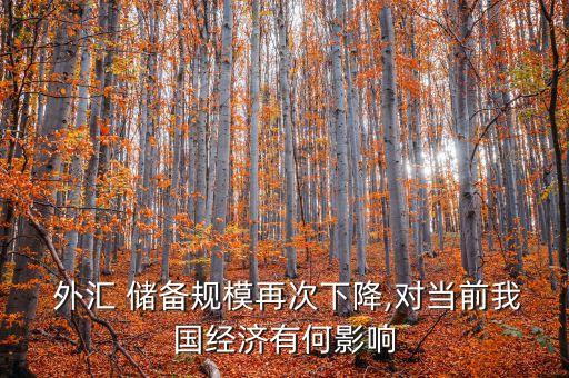 簡要分析中國外匯儲備過剩的影響