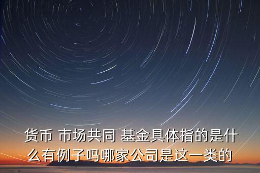  貨幣 市場共同 基金具體指的是什么有例子嗎哪家公司是這一類的
