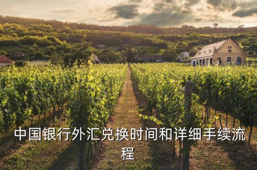  中國銀行外匯兌換時(shí)間和詳細(xì)手續(xù)流程