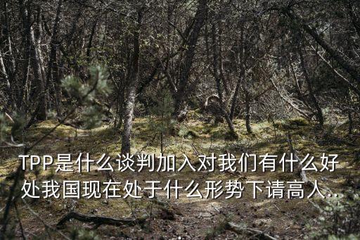 TPP是什么談判加入對我們有什么好處我國現(xiàn)在處于什么形勢下請高人...