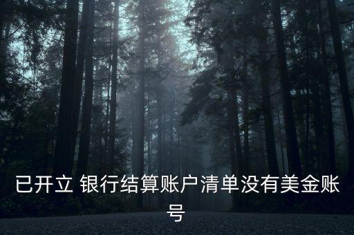 已開立 銀行結(jié)算賬戶清單沒有美金賬號