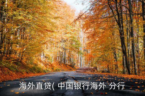 海外直貸( 中國(guó)銀行海外 分行