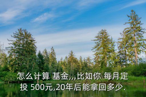 怎么計(jì)算 基金,,,比如你 每月定投 500元,20年后能拿回多少.