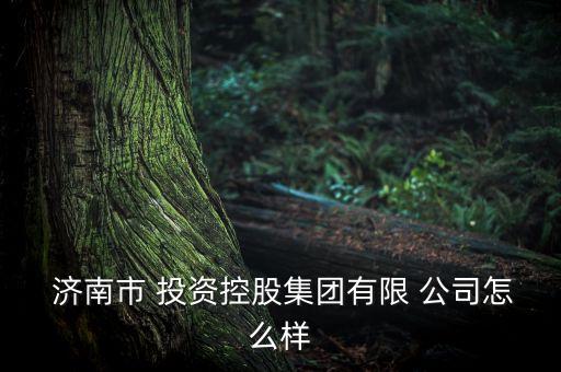 濟(jì)南市 投資控股集團(tuán)有限 公司怎么樣