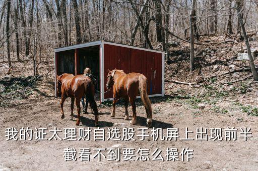 股票軟件快捷鍵的使用,股票檢測(cè)軟件