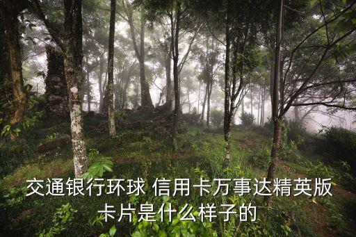  交通銀行環(huán)球 信用卡萬事達精英版卡片是什么樣子的
