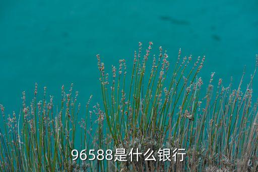 96588是什么銀行