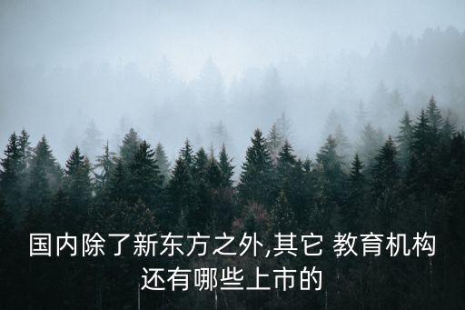 國內(nèi)除了新東方之外,其它 教育機構(gòu)還有哪些上市的