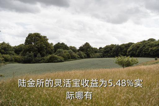 陸金所的靈活寶收益為5.48%實際哪有