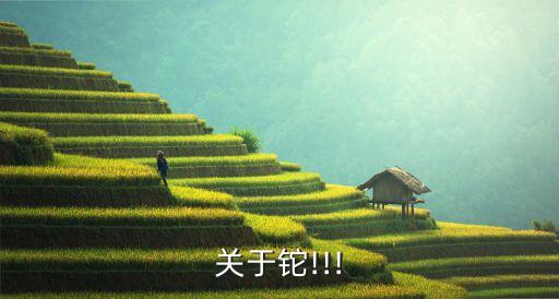 關于鉈!!!