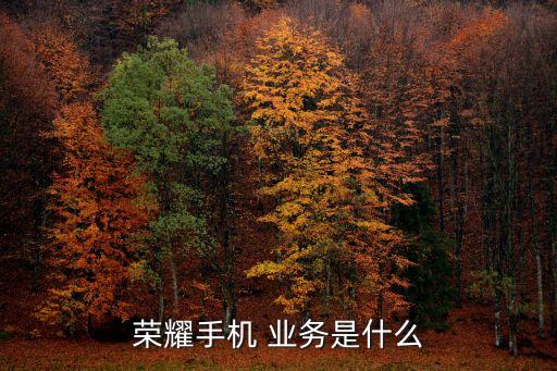 消費(fèi)者業(yè)務(wù)集團(tuán),為了對(duì)不同消費(fèi)者集團(tuán)