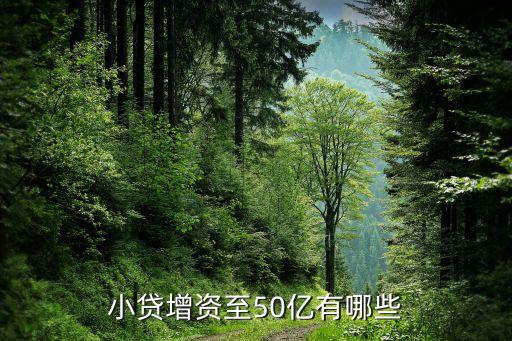 天津小額貸款公司數量,天津翔宇小額貸款公司怎么樣