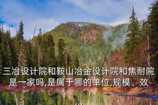 三冶設(shè)計院和鞍山冶金設(shè)計院和焦耐院是一家嗎,是屬于哪的單位,規(guī)模、效...