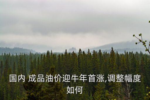 國(guó)內(nèi) 成品油價(jià)迎牛年首漲,調(diào)整幅度如何