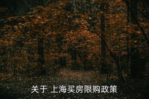 關(guān)于 上海買(mǎi)房限購(gòu)政策