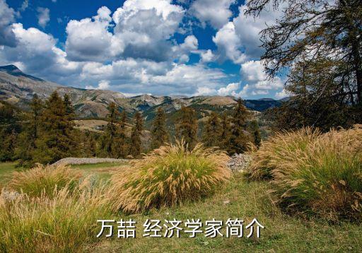 萬喆 經(jīng)濟學家簡介