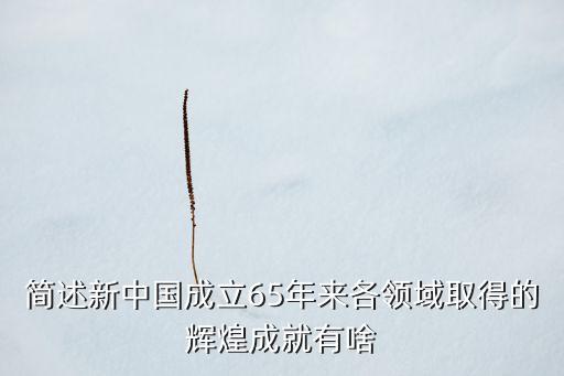 簡述新中國成立65年來各領(lǐng)域取得的輝煌成就有啥