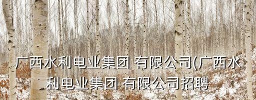 廣西水利電業(yè)集團 有限公司(廣西水利電業(yè)集團 有限公司招聘