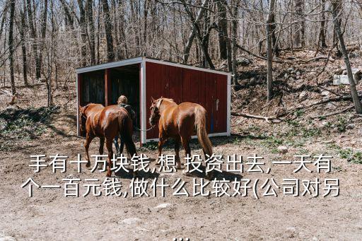 手有十萬塊錢,想 投資出去,一天有個(gè)一百元錢,做什么比較好(公司對另...