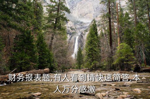 財務報表題,有人看到請快速簡答,本人萬分感激