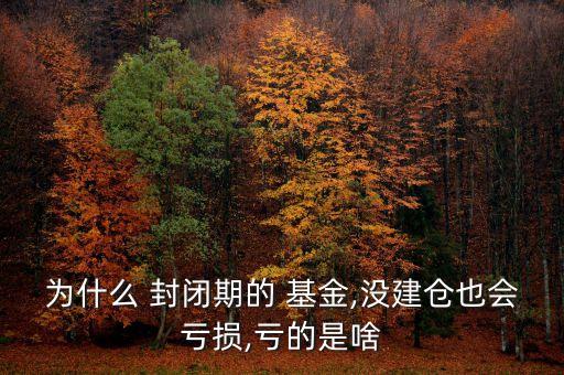 為什么 封閉期的 基金,沒建倉也會虧損,虧的是啥