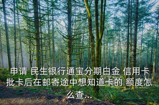 申請 民生銀行通寶分期白金 信用卡批卡后在郵寄途中想知道卡的 額度怎么查...