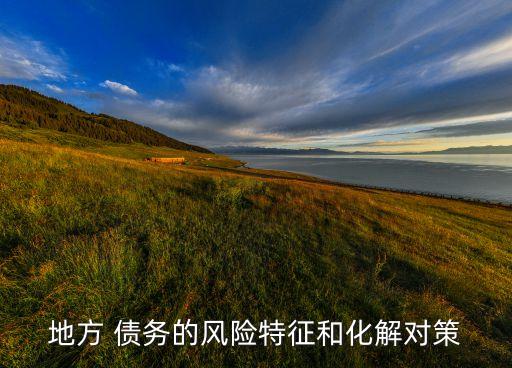 地方 債務(wù)的風(fēng)險(xiǎn)特征和化解對(duì)策