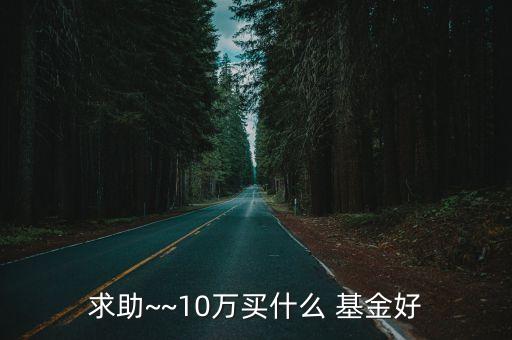求助~~10萬(wàn)買什么 基金好