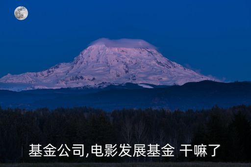 電影基金公司,電影發(fā)展基金 干嘛了
