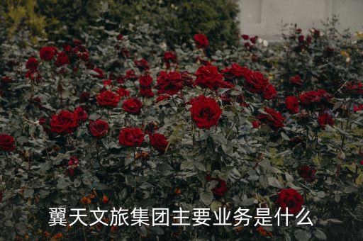 翼天文旅集團(tuán)主要業(yè)務(wù)是什么