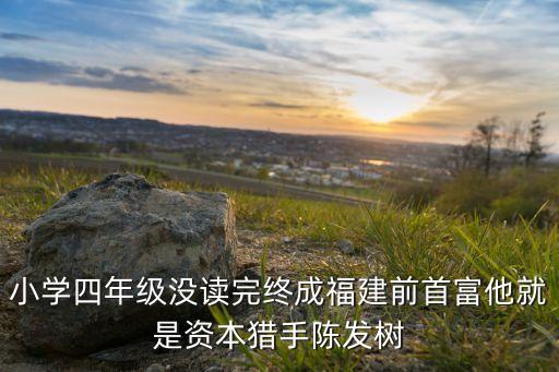 新華都投資