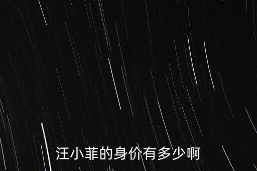 汪小菲的身價有多少啊