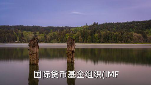  國際貨幣基金組織(IMF